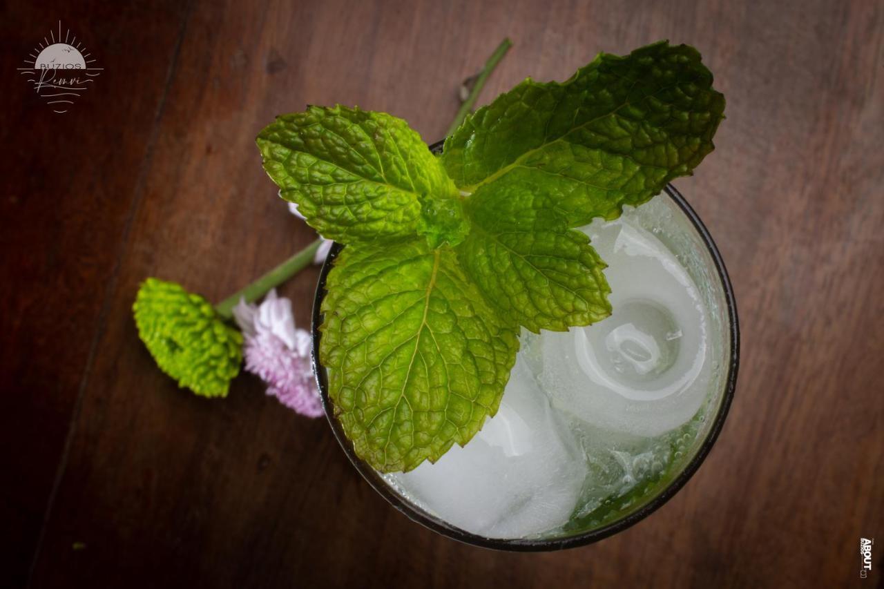 Pousada Praia Joao Fernandes Búzios Esterno foto Mint leaves in a drink